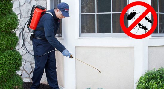 Çeltikçi Böcek ve Haşere İlaçlama böcek ilaçlama ve haşere kontrolü — ilaclama-tr.com